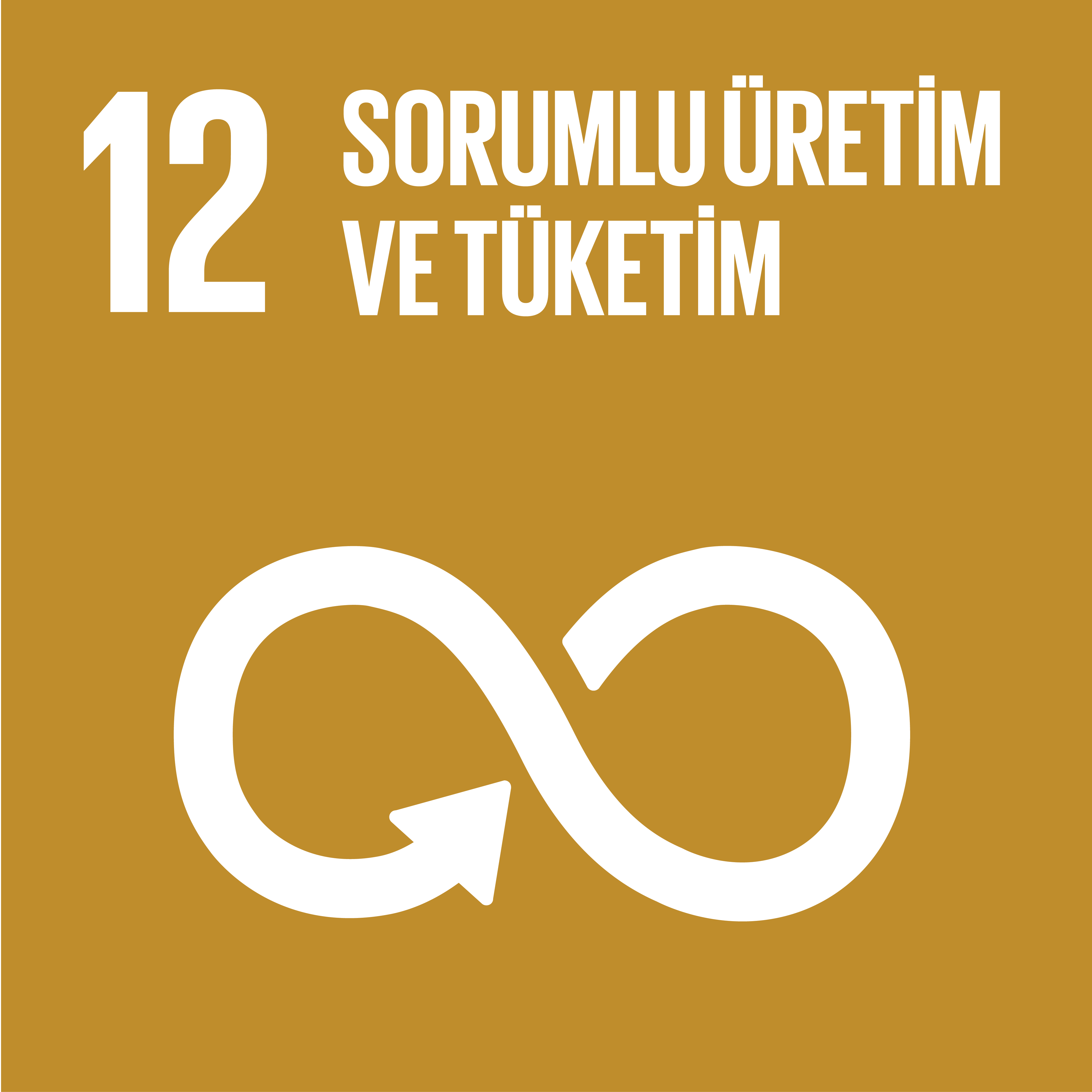 SDG12